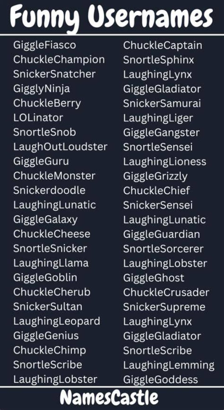 340+ Funny Usernames Ideas For Boys+Girls
