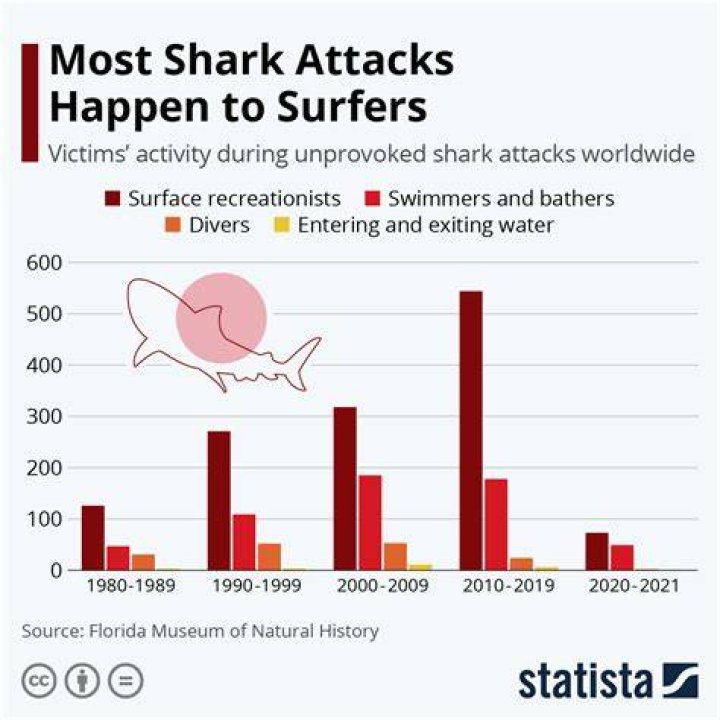 How Many Shark Attacks In Hilton Head 2023 South Carolina? SarkariResult