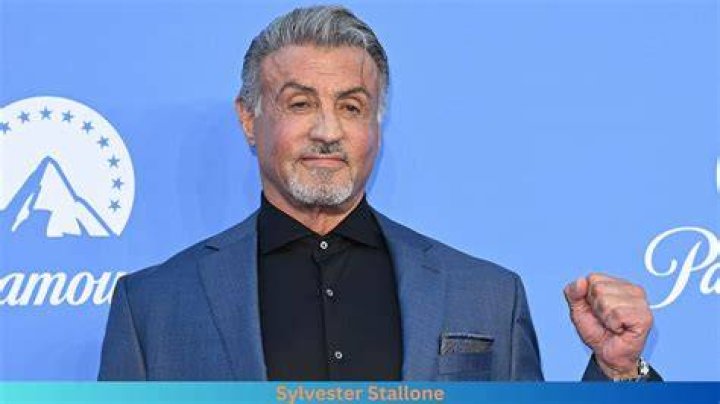 Sylvester Stallone Net Worth Everything About His Money Geeks