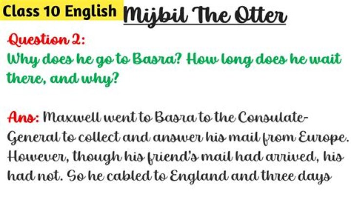 Why does he go to Basra? How long does he wait there, and why? Mijbil